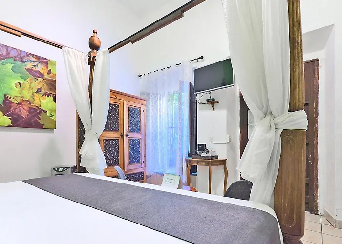 Hotel Rosa Morada