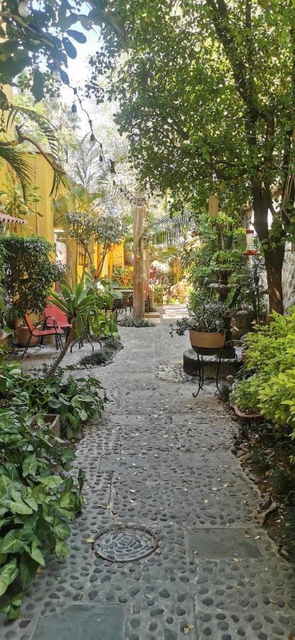 Bed and breakfast Rosa Morada 4*
